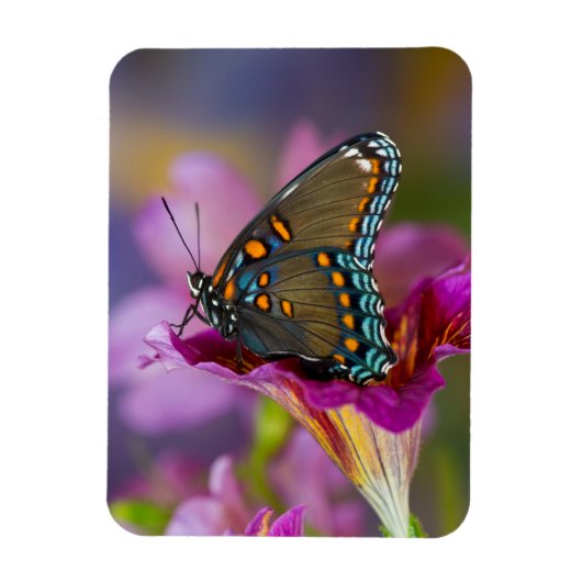 アゲハチョウ マグネット (縦)