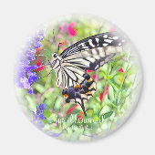 アゲハチョウ マグネット (正面)