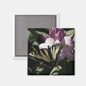 アゲハチョウ&ロドデンドロン磁石 マグネット (正面/裏面)