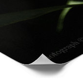 アゲハチョウ&ロードデンドロンプリント ポスター (角)