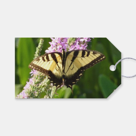 アゲハ蝶とむらさきの野の花 ギフトタグ (正面(横))