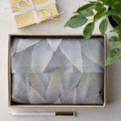 アゲブ多肉植物サボテン緑セージ 薄葉紙 (ギフト)