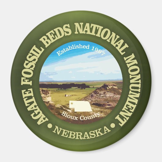 アゲート型化石ベッド(NM) マグネット (正面)