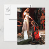 アコラーデ – 白猫 ポストカード (正面/裏面)