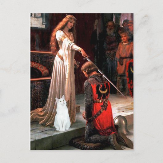 アコラーデ – 白猫 ポストカード (正面)