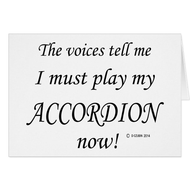 アコーディオンVoices Say 遊 Must  (正面横)