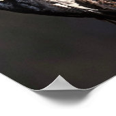 アコーンウッドペッカー ポスター (角)