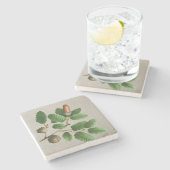 アコーンオーク離れ材 ストーンコースター (横)