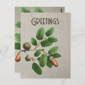 アコーンオーク離れ材 ポストカード (正面/裏面)