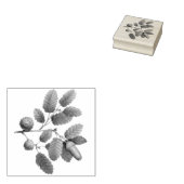 アコーンオーク離れ材 ラバースタンプ (押印)