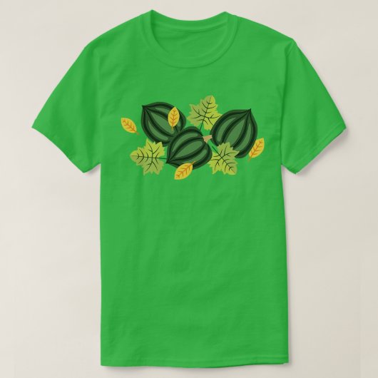 アコーンスカッシュ Tシャツ (デザイン正面)