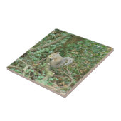 アコーンタイル付きリス タイル (側面)