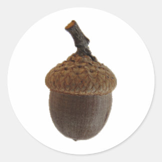 アコーンナッツのスナックフードキッチンレシピ ラウンドシール