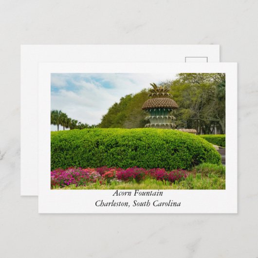 アコーンファウンテンアットチャールストンサウスカロライナ ポストカード (正面/裏面)