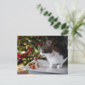 アコーン与え小妖精や小人クリスマスプレゼント ポストカード (スタンド正面)