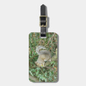 アコーン付きリスカスタムルの荷物タグ ラゲッジタグ (正面縦)