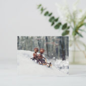 アコーン小人はそり冬のはがきに乗る ポストカード (スタンド正面)