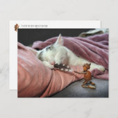 アコーン小妖精や小人からかわれる猫 ポストカード (正面/裏面)