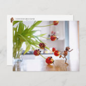 アコーン小妖精や小人とチューリップ・ドラゴン葉書 ポストカード (正面/裏面)