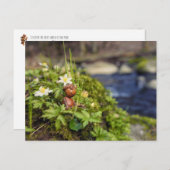 アコーン小妖精や小人と春の花 ポストカード (正面/裏面)