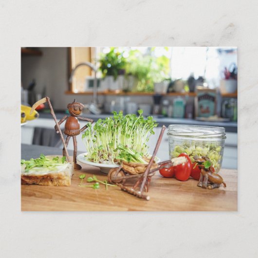 アコーン小妖精や小人はキッチンで緑のハーブを収穫している ポストカード (正面)