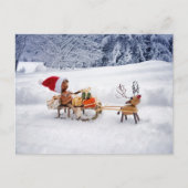 アコーン小妖精や小人はサンタクロースのようなプレゼントをもたらす ポストカード (正面)