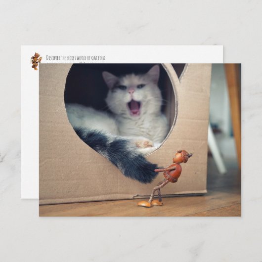 アコーン小妖精や小人は猫を目覚めさせ、大きなリスクを負う ポストカード (正面/裏面)