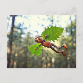 アコーン小妖精や小人イカロスフライヤー – ポストクロッシング葉書 ポストカード
