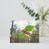 アコーン小妖精や小人イカロスフライヤー – ポストクロッシング葉書 ポストカード (スタンド正面)