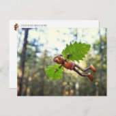 アコーン小妖精や小人イカロスフライヤー – ポストクロッシング葉書 ポストカード (正面/裏面)