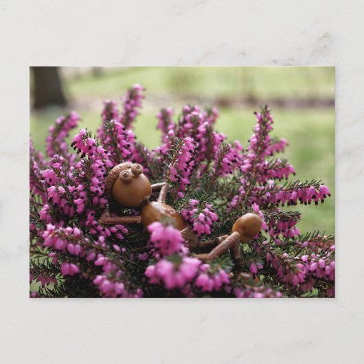 アコーン小妖精や小人オンザヒースガーデンハガキ ポストカード (正面)