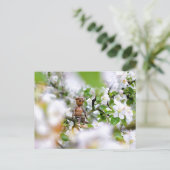 アコーン小妖精や小人オンザブロッサムツリー ポストカード (スタンド正面)