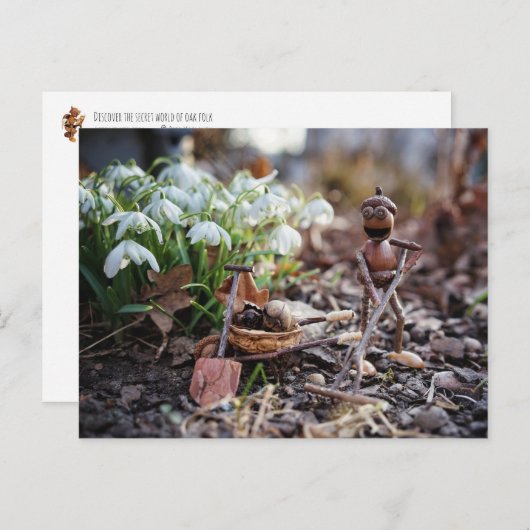 アコーン小妖精や小人ガーデナーとスノーフレーク花春 ポストカード (正面/裏面)
