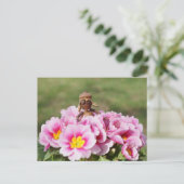 アコーン小妖精や小人ガールオンザ春フラワーポストカード ポストカード (スタンド正面)