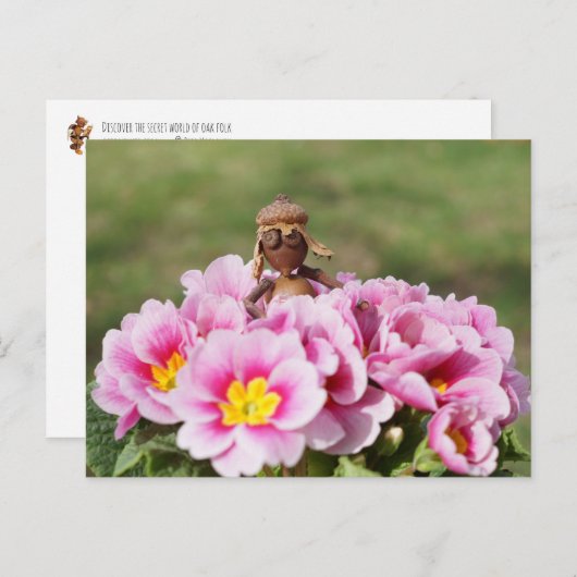 アコーン小妖精や小人ガールオンザ春フラワーポストカード ポストカード (正面/裏面)