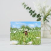 アコーン小妖精や小人デイジーと牧草地 – おもしろい ポストカード (スタンド正面)