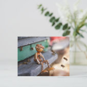 アコーン小妖精や小人ビーキーパー春はがき ポストカード (スタンド正面)