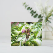 アコーン小妖精や小人女の子と花はがき ポストカード (スタンド正面)