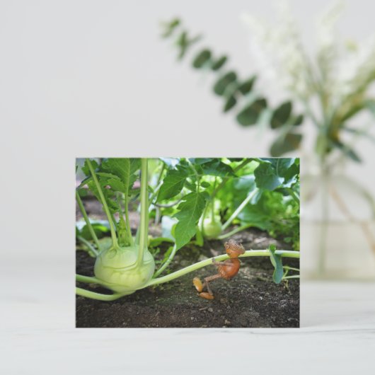 アコーン小妖精や小人春庭師はがき ポストカード (スタンド正面)