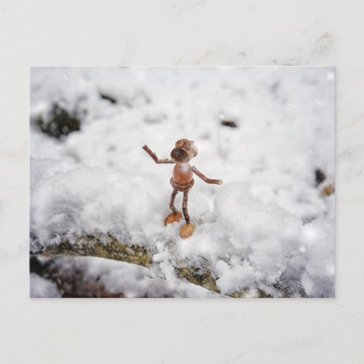 アコーン小妖精や小人食べズスノー – 冬はがき ポストカード (正面)