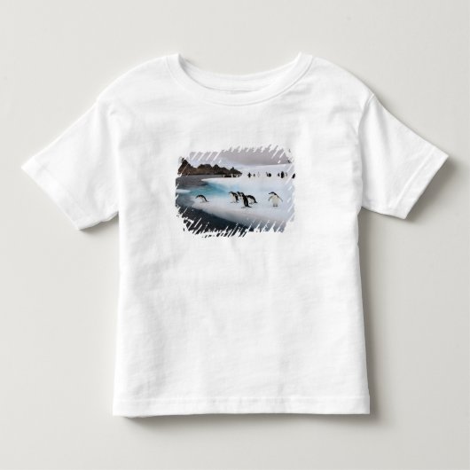 アゴヒモペンギン トドラーTシャツ (正面)