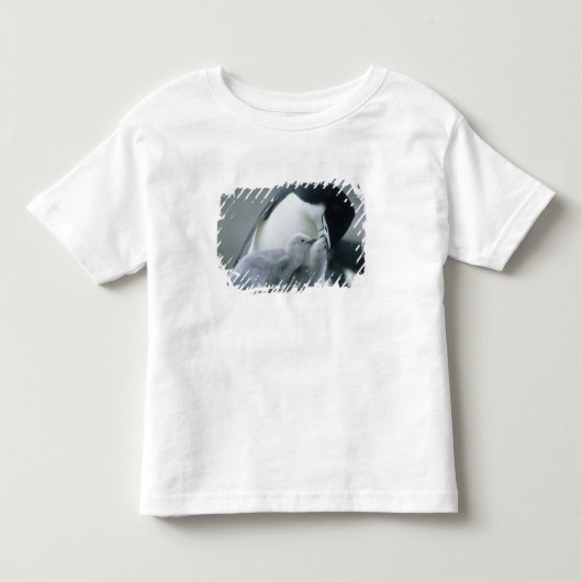 アゴヒモペンギン (Pygoscelis antarctica) トドラーTシャツ (正面)