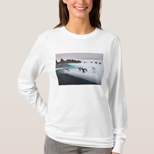 アゴヒモペンギン Tシャツ (正面)