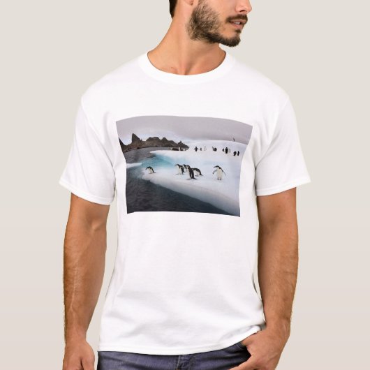 アゴヒモペンギン Tシャツ (正面)