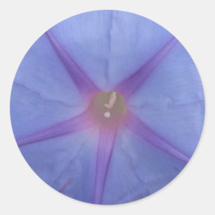 アサガオの花のステッカー ラウンドシール