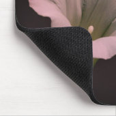 アサガオ マウスパッド (コーナー)