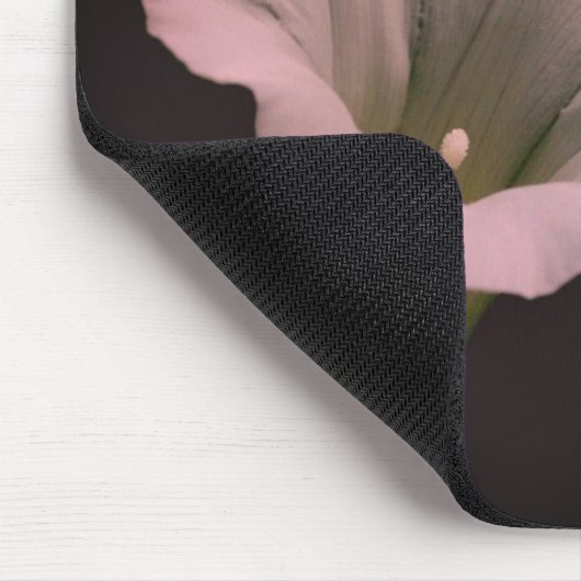 アサガオ マウスパッド (コーナー)