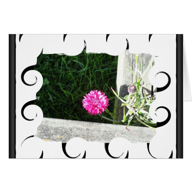 アサツキ (正面横)