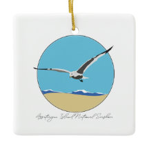 アサテーハアイランドシーガルオーバービーチ