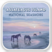 アサテーハアイランドナショナルシーショアウマヴィンテージ シール (正面)